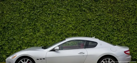 A silver Maserati GranTurismo coupe in side profile against a dense green hedge backdrop.