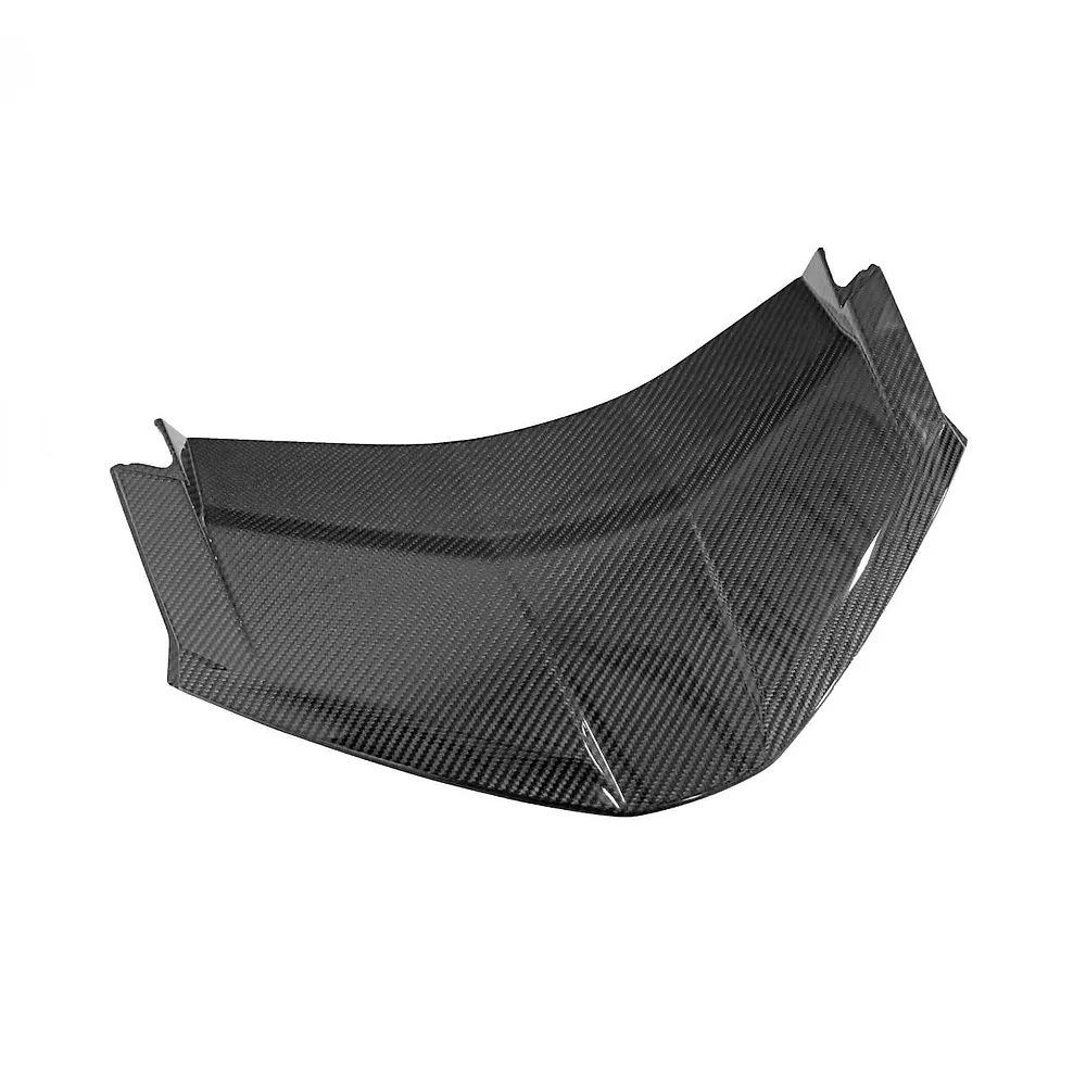 Carbon Fiber Rear Lower Hatch Panel