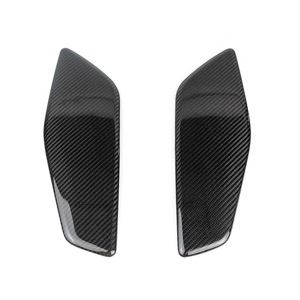 Carbon Fiber Wing End Plates