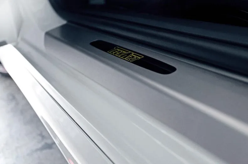 Door entry guards