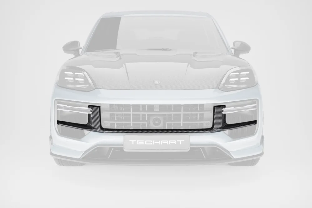 Front grille insert, glossy carbon, code 108