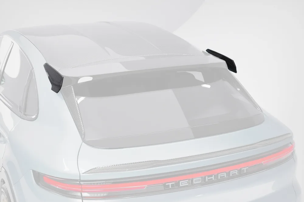 Roof spoiler, paintable, end plate